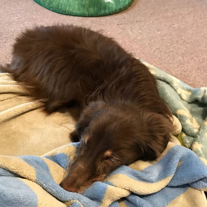 4e925599 2a1d 44b8 b4ea 067faa64e9eb 1508225796798