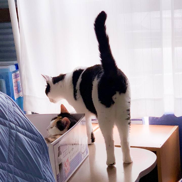 4e926bca 083b 4ca5 be6e b3275dc4cd3a 1564362403281