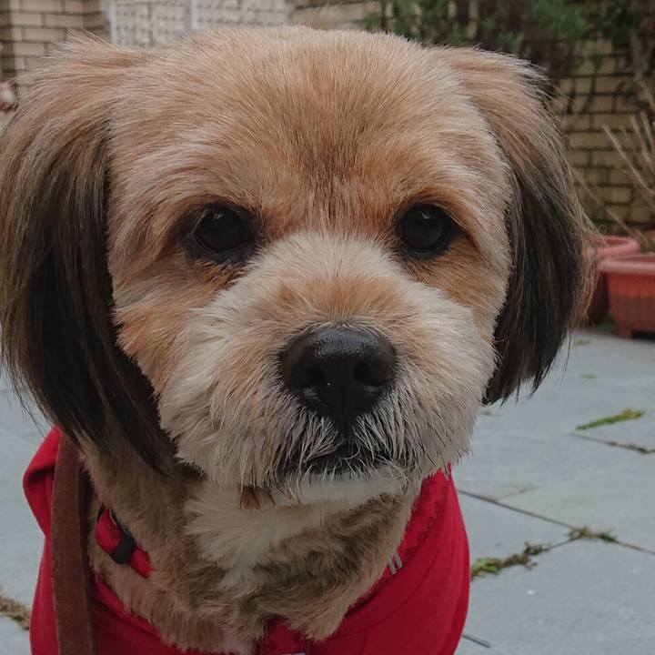 4e930dc6 84b0 46c6 bc46 bf8a3affbcc5 1581428584652