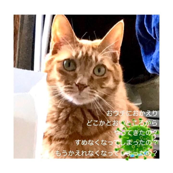 4e931434 a904 4741 aba0 5e1185ccfca7 1586483456644