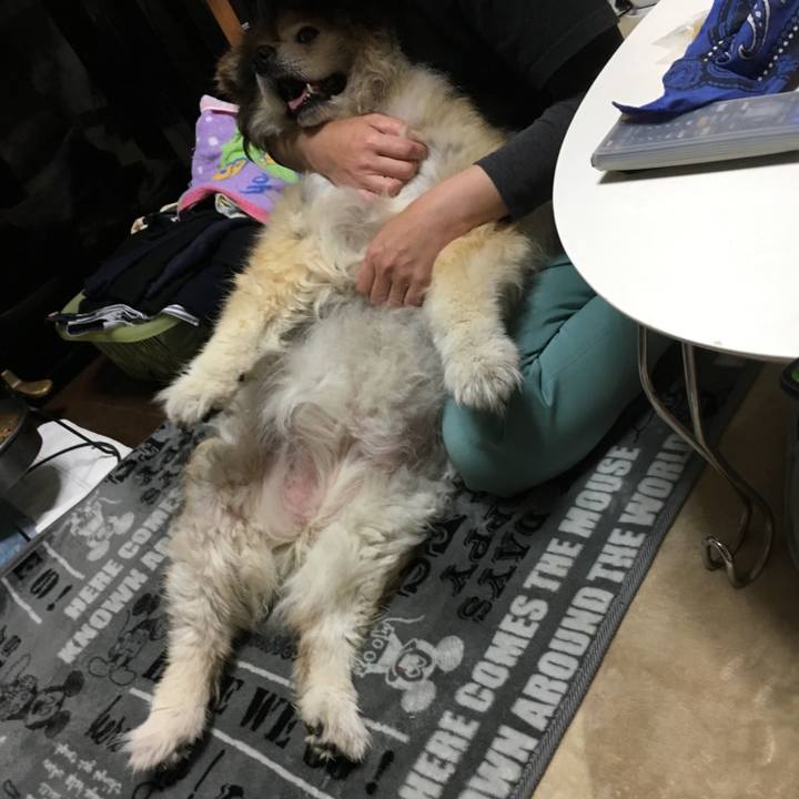 4e931ab7 079b 4e65 835c 16152d7ecd71 1581997385850