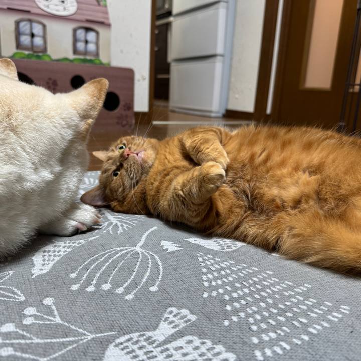 4e934619 31f9 4802 81e2 e79ea1694c5d 1774616753868