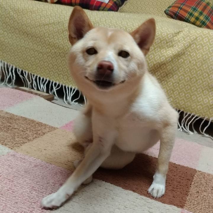 4e936d66 97d4 4be1 8242 ac6872e82d09 1541410827664