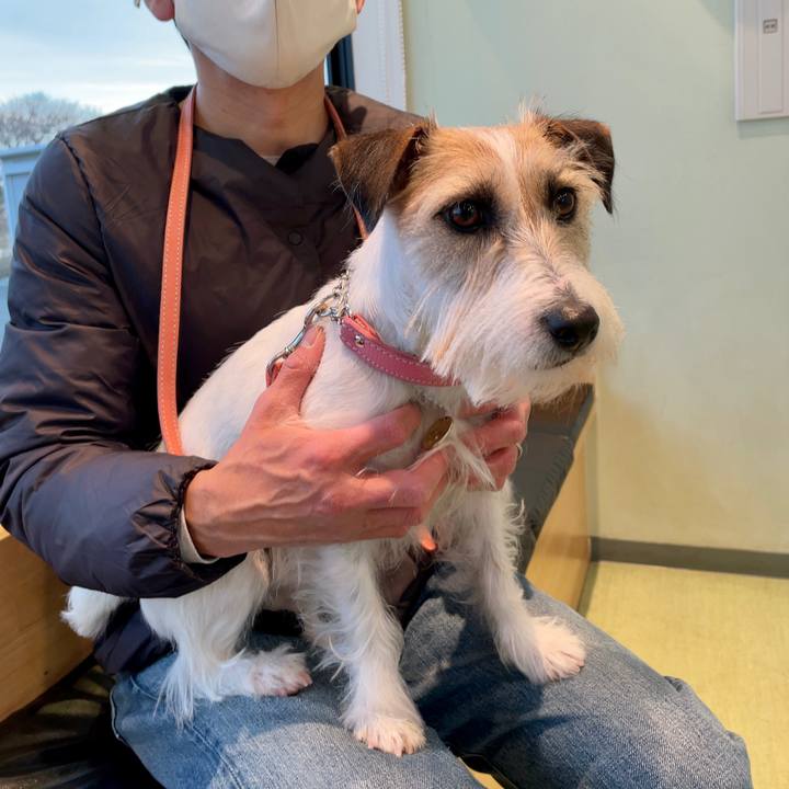 4e93741f f4ed 4ab4 957b 0d4b54acb42a 1646039381315