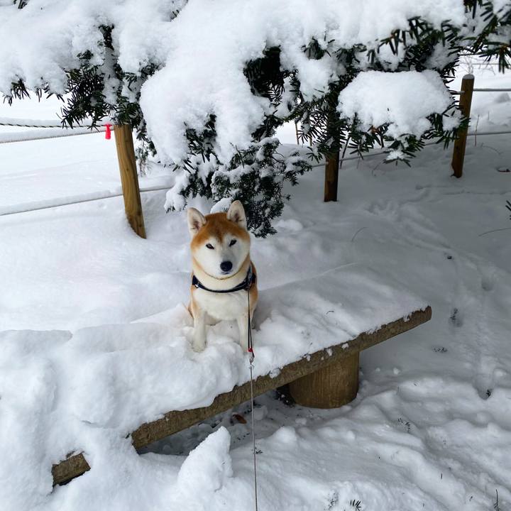 4e937507 19aa 4414 ab87 c7b7160f9032 1674568642403