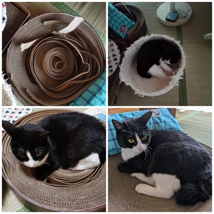 4e9382e0 574c 46a0 8c2b 0fefcf9234ca 1687751690447