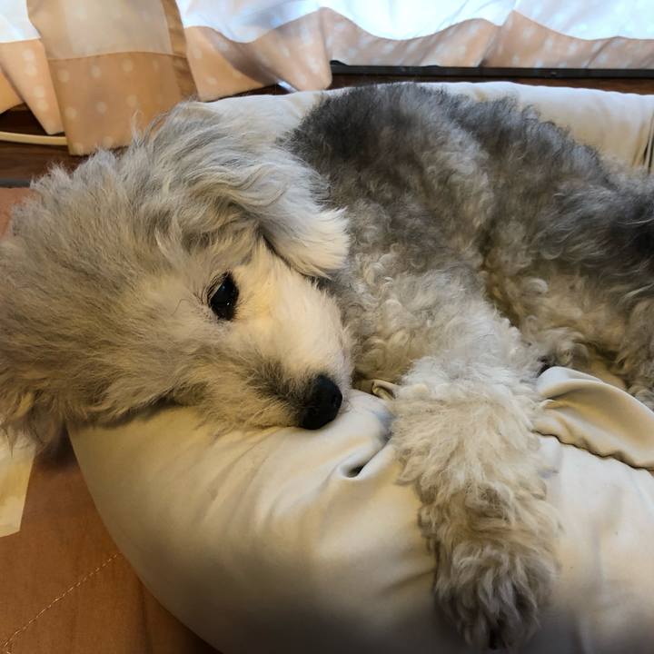 4e93854d 5947 48de a5af b6e1f4bbb8a0 1631778969213