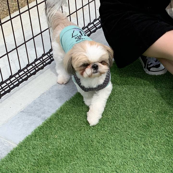 4e93b18e f42d 4b6c 95bb 15ea131b57b7 1584879194586