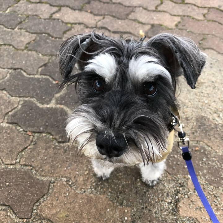 4e93fa25 679e 4264 b8cb 9c57acf271b0 1708642795672