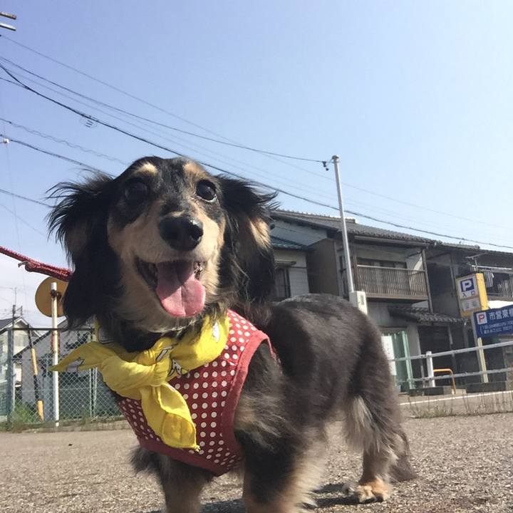 4e94bc4a b1a8 4e74 bb74 33e279ed7627 1523525983256