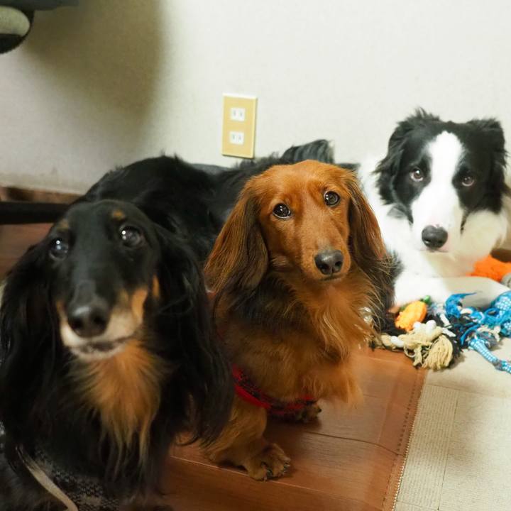 4e94fe91 54b8 44c9 942a ffb0b11fd30e 1770011162329