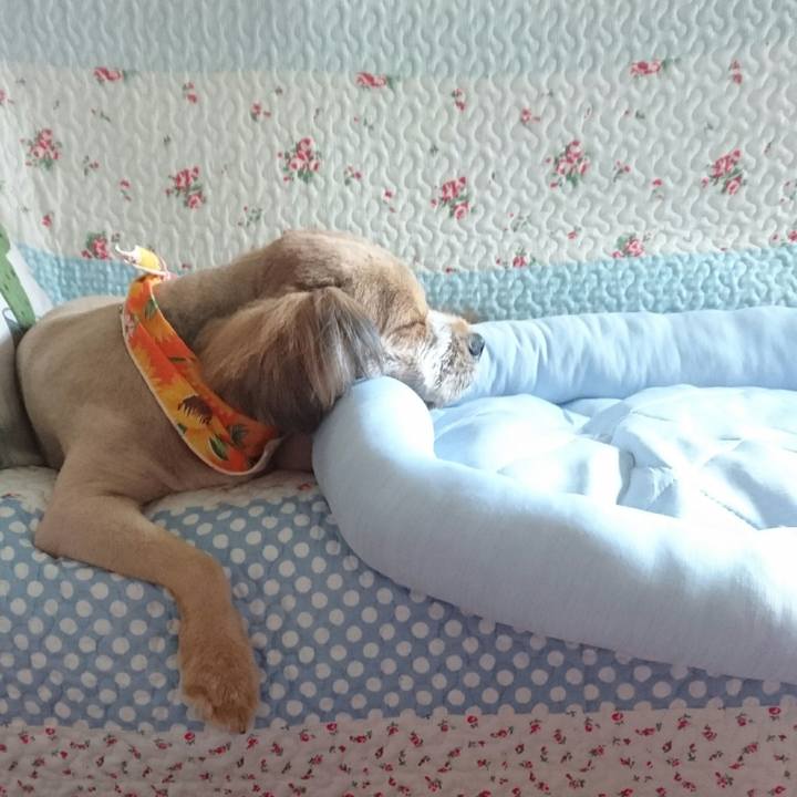 4e951570 cd59 4a63 9666 c9bb465825cd 1531312245512