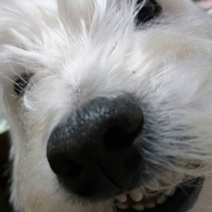 4e9528f6 ca35 4118 922d 65e96d8f0075 1521296591733