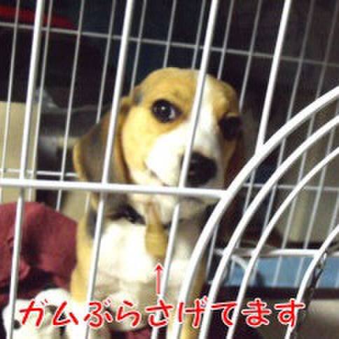 4e958e75 56d3 4ee3 813e c1548d8a714f 1677025368776