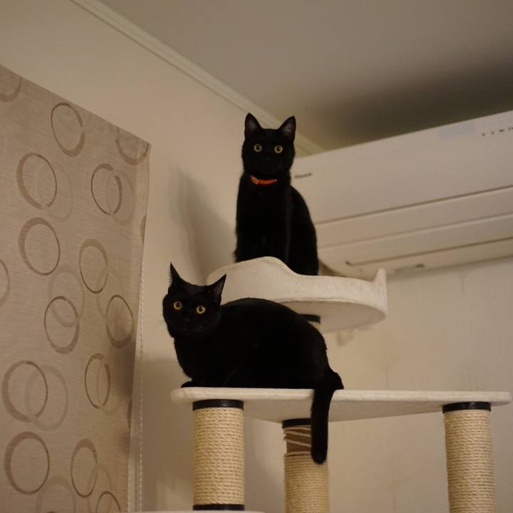 4e95be85 233c 4928 b8d1 934da4618887 1521154452435