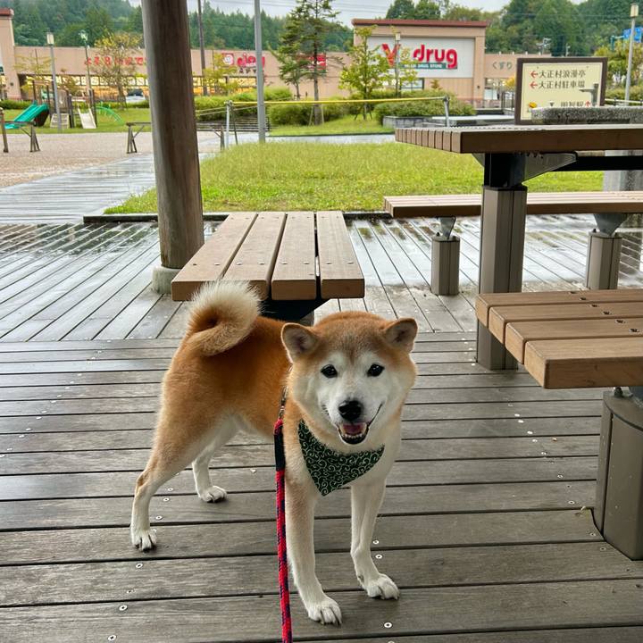 4e95f532 42b2 4dd2 96fc 88d47b86f494 1728382441753