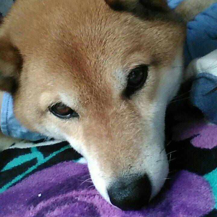 4e960c4c b58c 47d5 b202 58baccdb3469 1557715442029