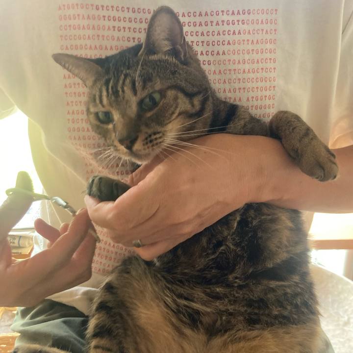 4e9618e5 2a60 49b2 82d5 0794238eb12b 1757507011151