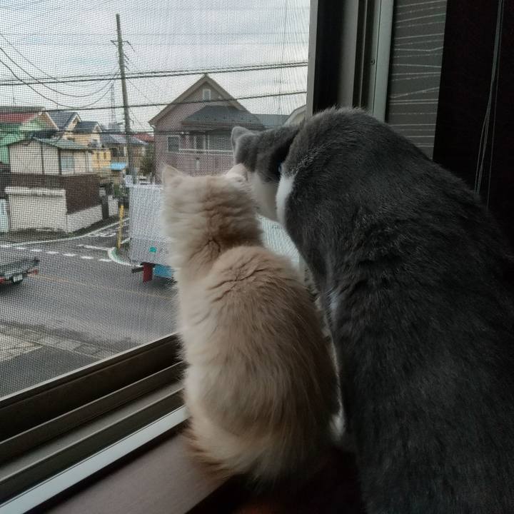 4e963770 42be 4e9b 95fd 6d757c368c82 1603148998199