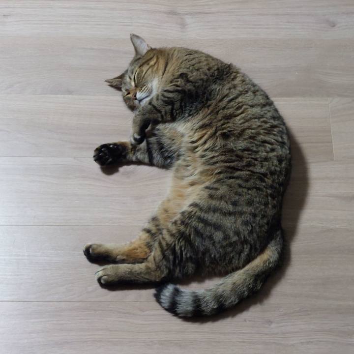 4e963a4a c930 4bb9 83f7 1416a370c6a2 1638740226978