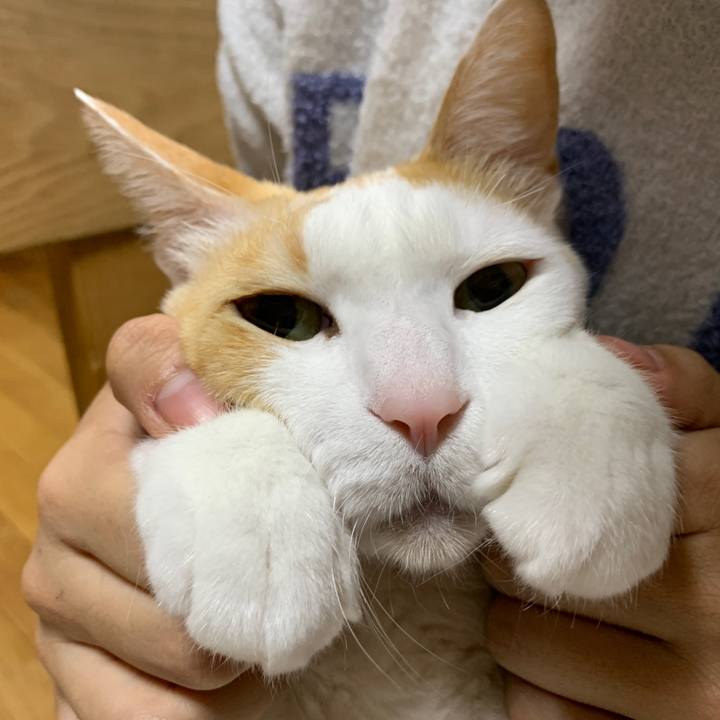 4e966771 f47a 4226 8d13 d792dc8ffd9d 1647261058508