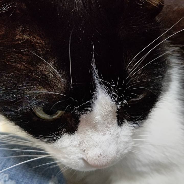 4e9676af 5ca9 498f b6df 742ee430a2b3 1622694501820