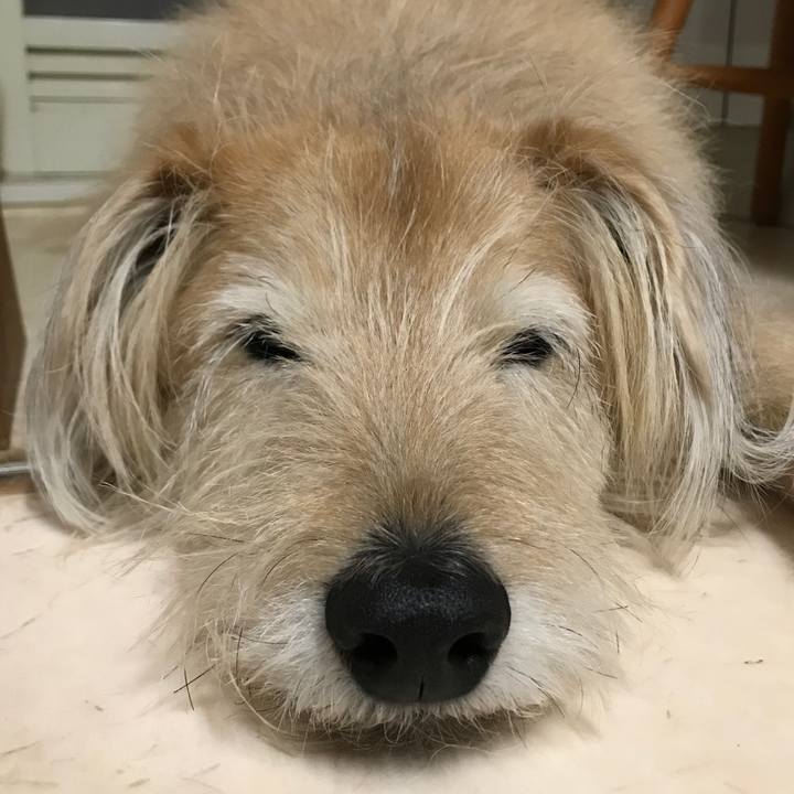 4e96b0eb 35d3 4a1e b00d 088d8e1ca65d 1611874667054