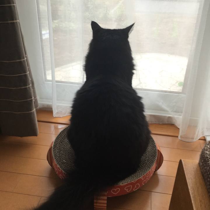 4e96c688 d9ff 41cc 9e3f a1ad80046a28 1531104501899