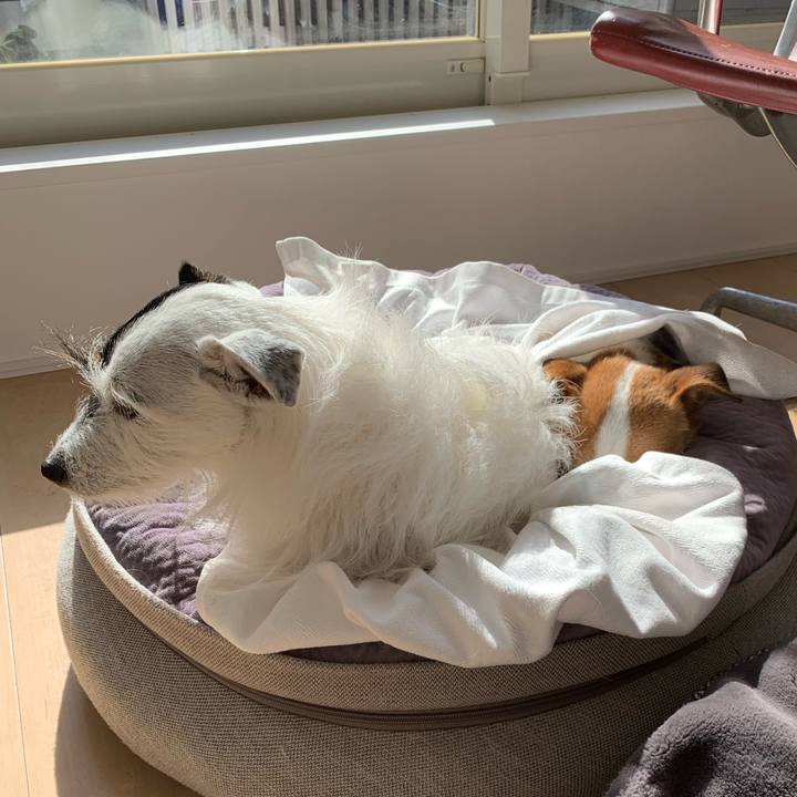 4e96d591 118f 4505 924d 82056fc3c628 1644035927349