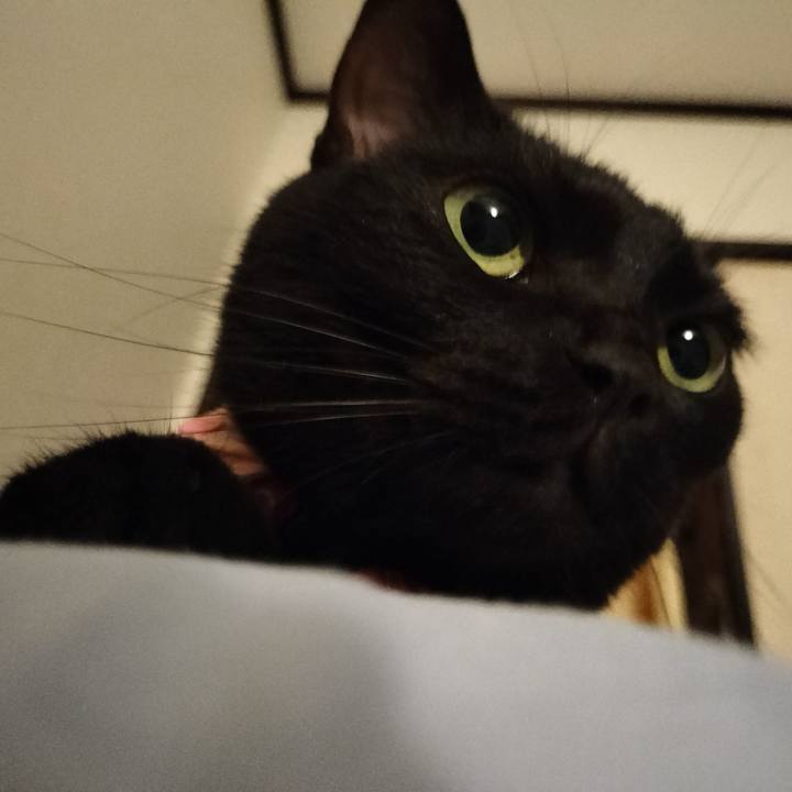 4e971bb5 b5cf 48d7 a01e 080b1f7084aa 1656334771810