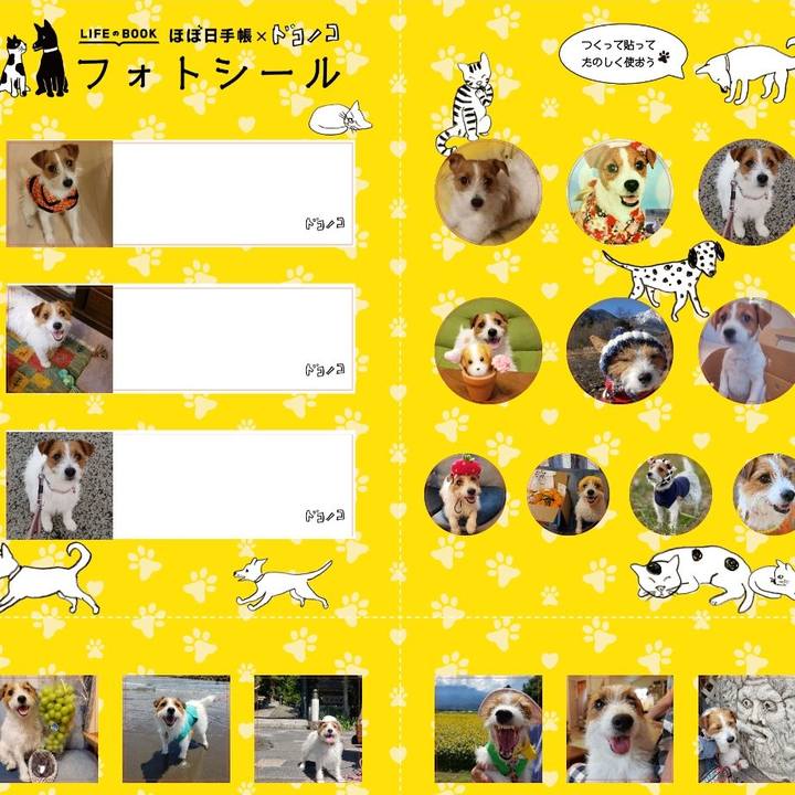 4e971bee 5b37 4726 a170 1aaabe28ce4d 1652658493954