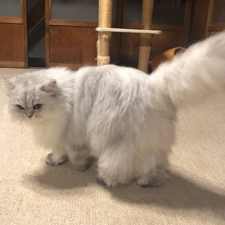 4e97b925 e495 4c55 9f8c d9d7f198f032 1575977409098