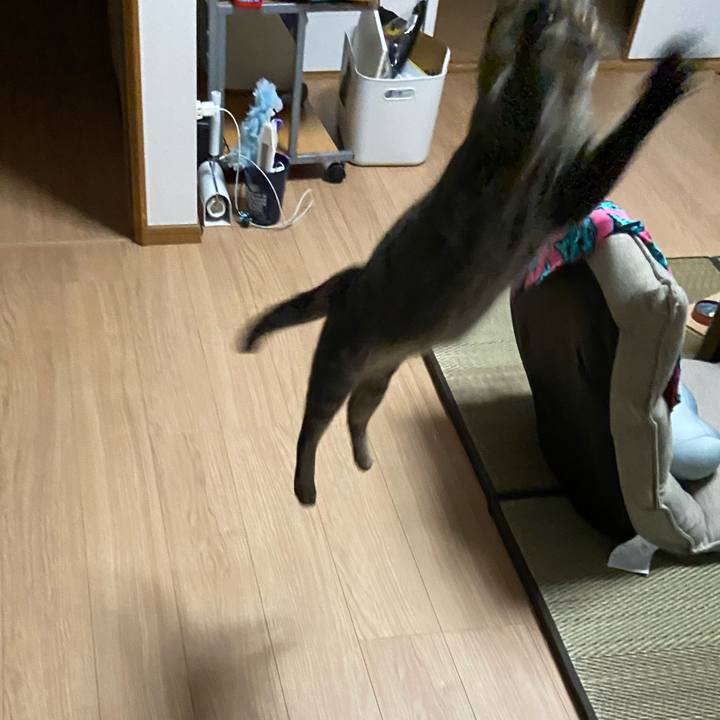 4e97babd 92b1 4cfa b997 204cd6175fec 1621254555152