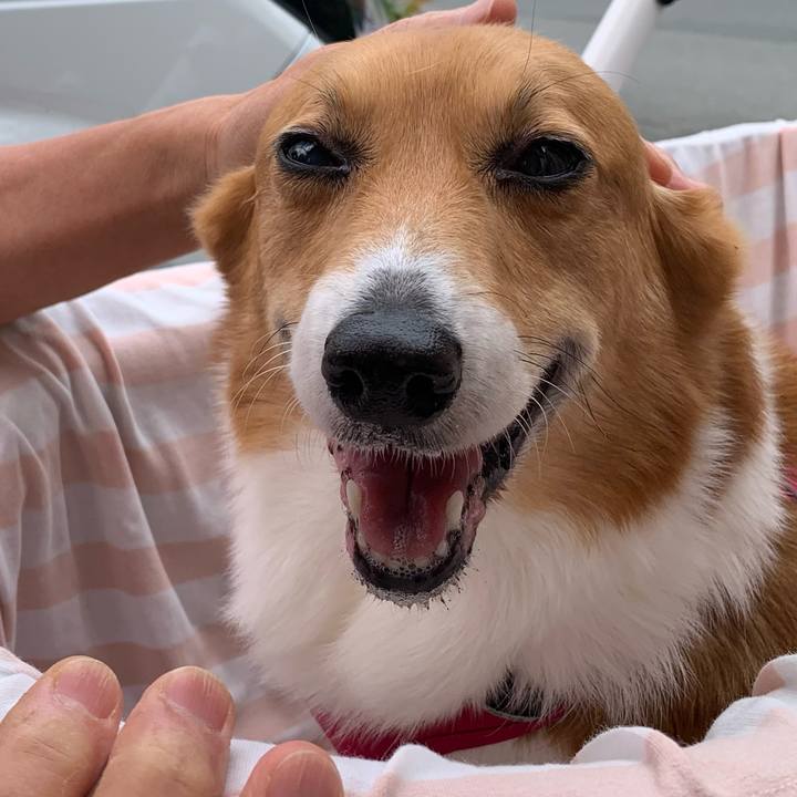 4e97ee99 b3fb 45e2 a188 60c866e455f5 1715137165141