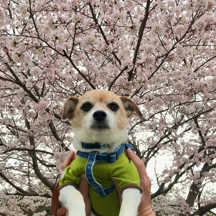 4e980073 ad7f 4b6b bd90 464f37a55776 1648370706882