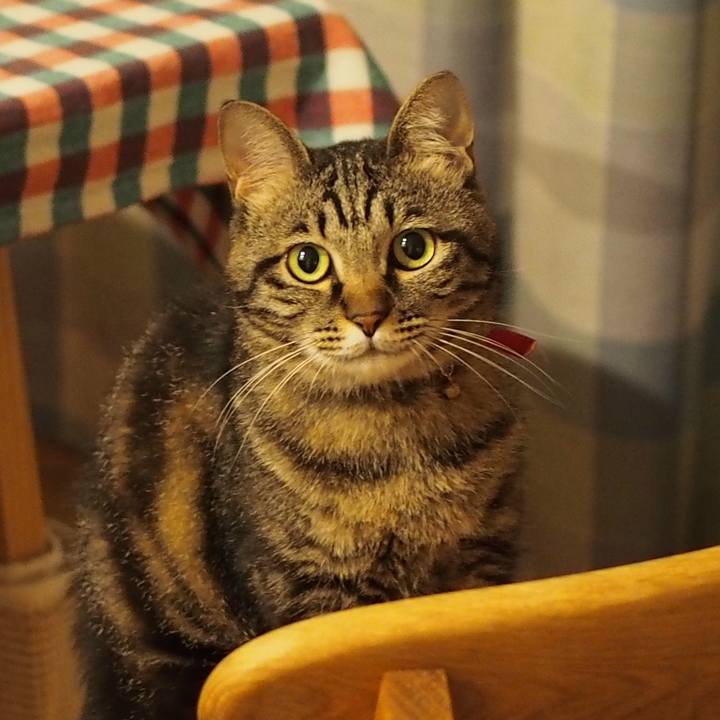 4e9811db c59f 435c b711 9382dad73d95 1595168850791