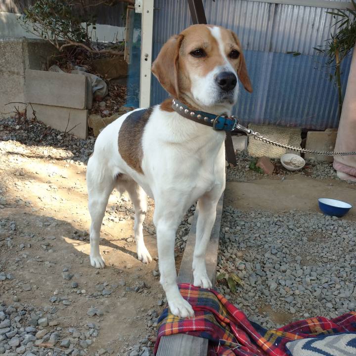 4e981283 78a0 4c36 abbe e6308c22ec99 1611200971194