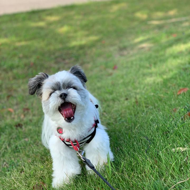 4e987186 bccc 4608 838d fd499af8b815 1569469020796