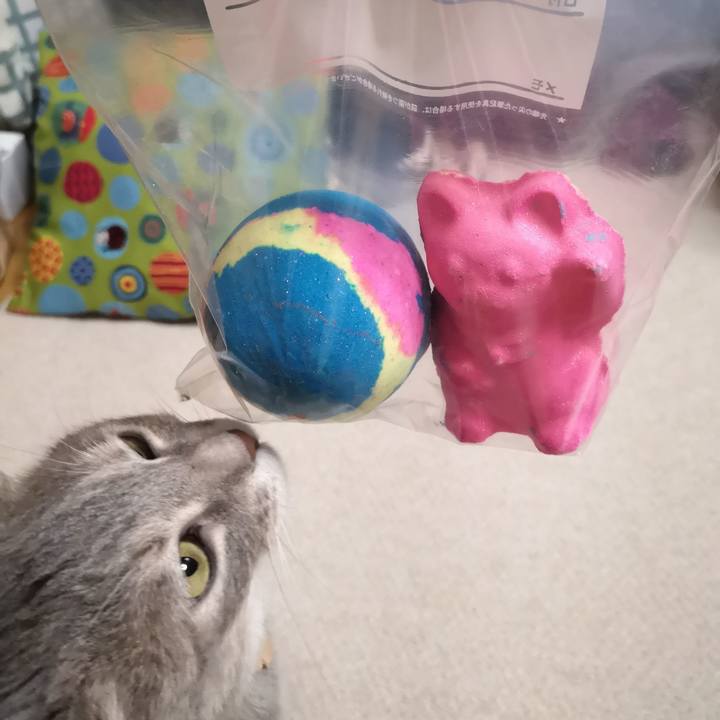 4e9871ce 41af 465d 9bf4 93072989f174 1589555390586