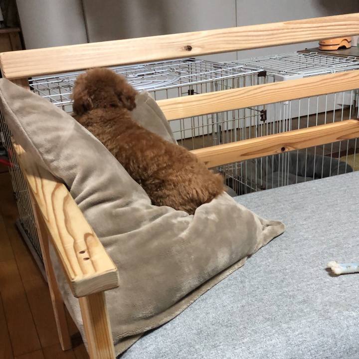 4e987594 5137 4f87 ae20 3bb907a8a708 1587077450822