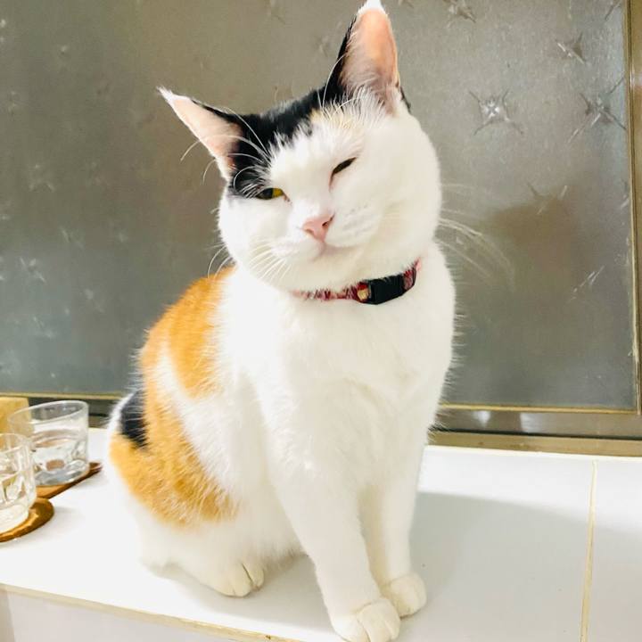 4e98a483 c84e 458f 86aa 9765cc0f5218 1696890058817