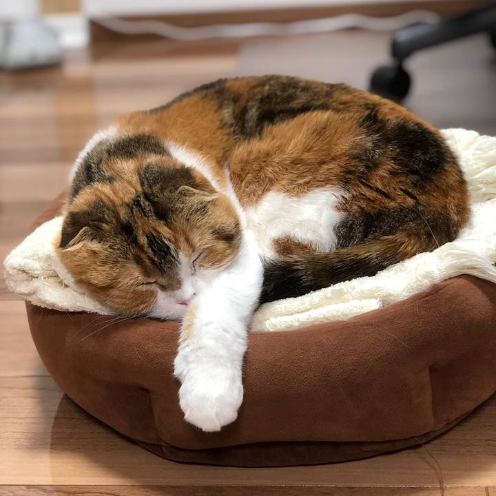 4e98c4ae 56c2 4060 8e01 b11fa1b3c13f 1588946495754