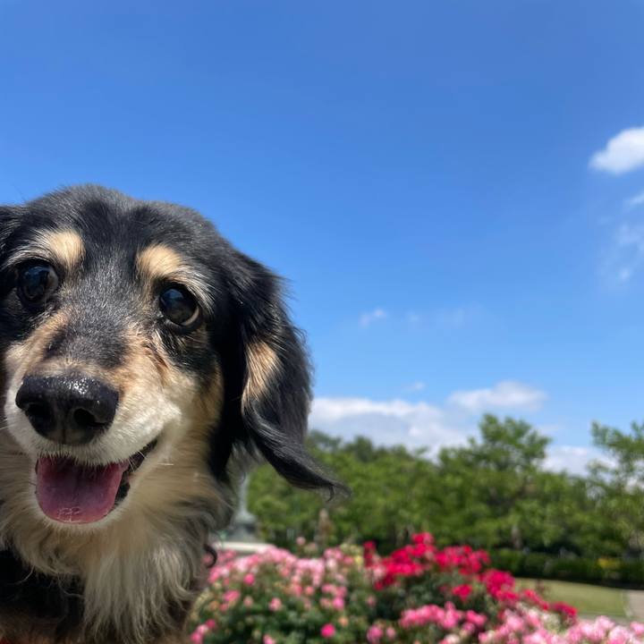 4e98cbbc ec63 4bf9 a200 6421d8fb3b62 1684201221423