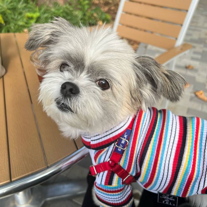 4e98e60a 4661 4093 9aee 56dfa3e20c81 1730781325556