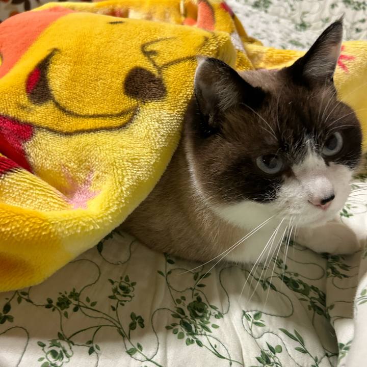 4e995a51 93b8 4031 8196 a3ed9febb9d1 1760132328140