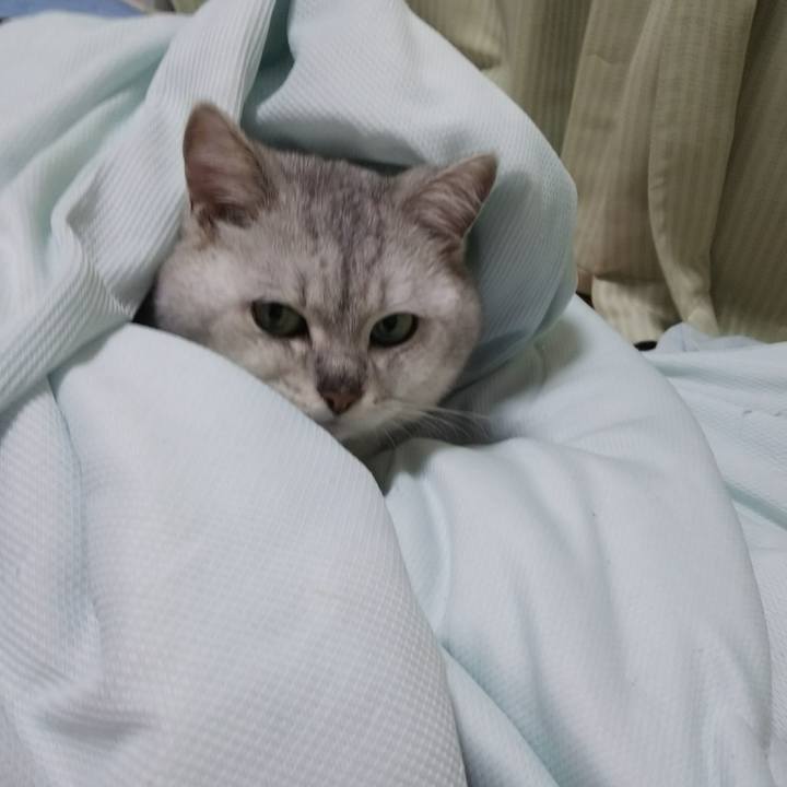 4e99697a e28f 4792 bcd5 928afd3e3a30 1514812479966