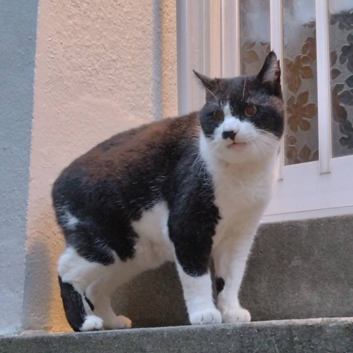 4e99841b 4dfb 466d a1a3 f0f139eeb988 1699688792184