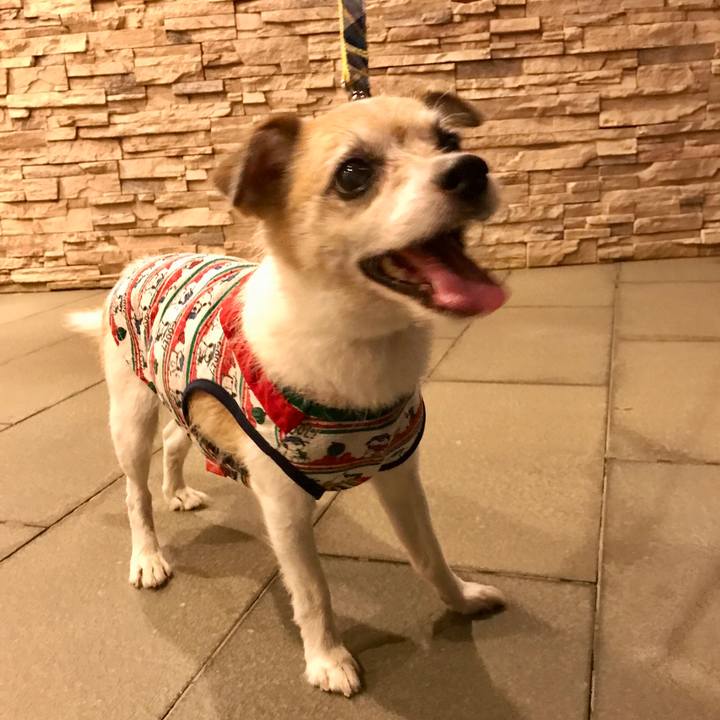 4e99acb0 9795 40c6 b00b aed47586ca3c 1659436824865