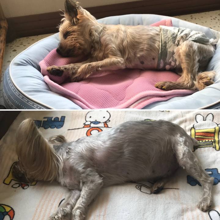 4e99f4fd db0f 467a ad84 e6aa118a8603 1687771901449