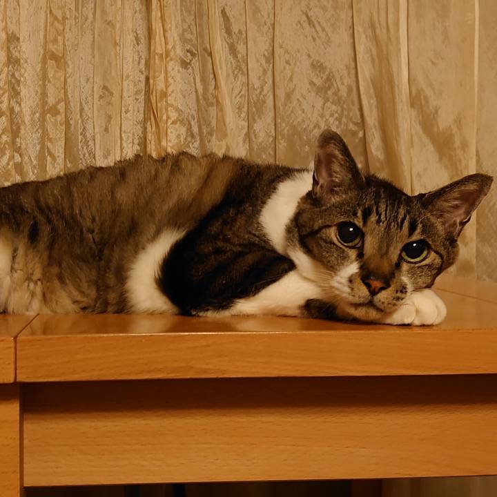 4e9a38ec 62bd 445c 9eaa 70dd618c3d66 1719755213601